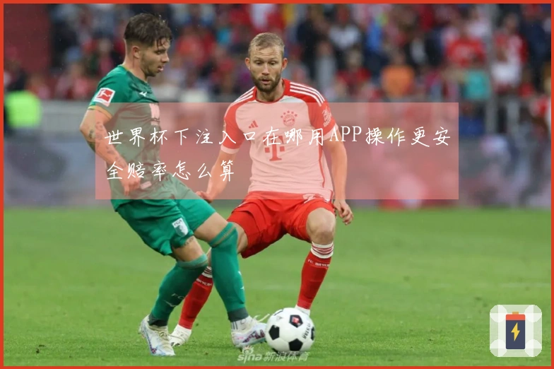 世界杯下注入口在哪用APP操作更安全赔率怎么算
