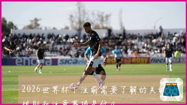 2026世界杯下注前需要了解的关键规则和注意事项是什么