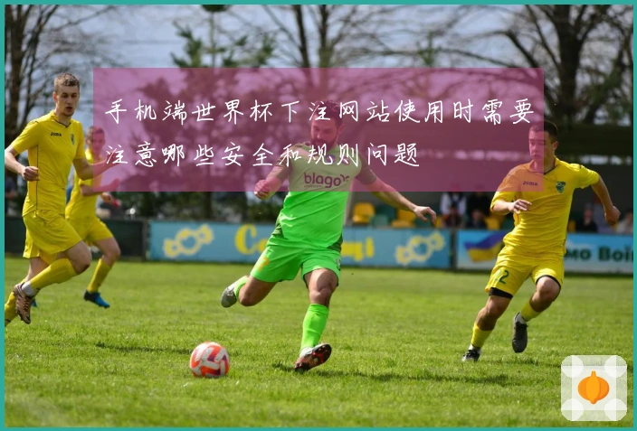 手机端世界杯下注网站使用时需要注意哪些安全和规则问题