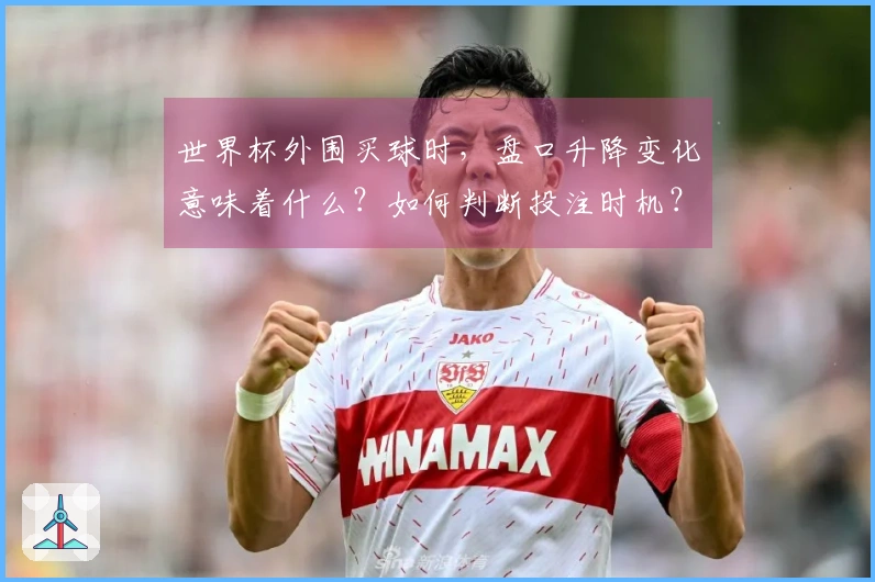 世界杯外围买球时，盘口升降变化意味着什么？如何判断投注时机？